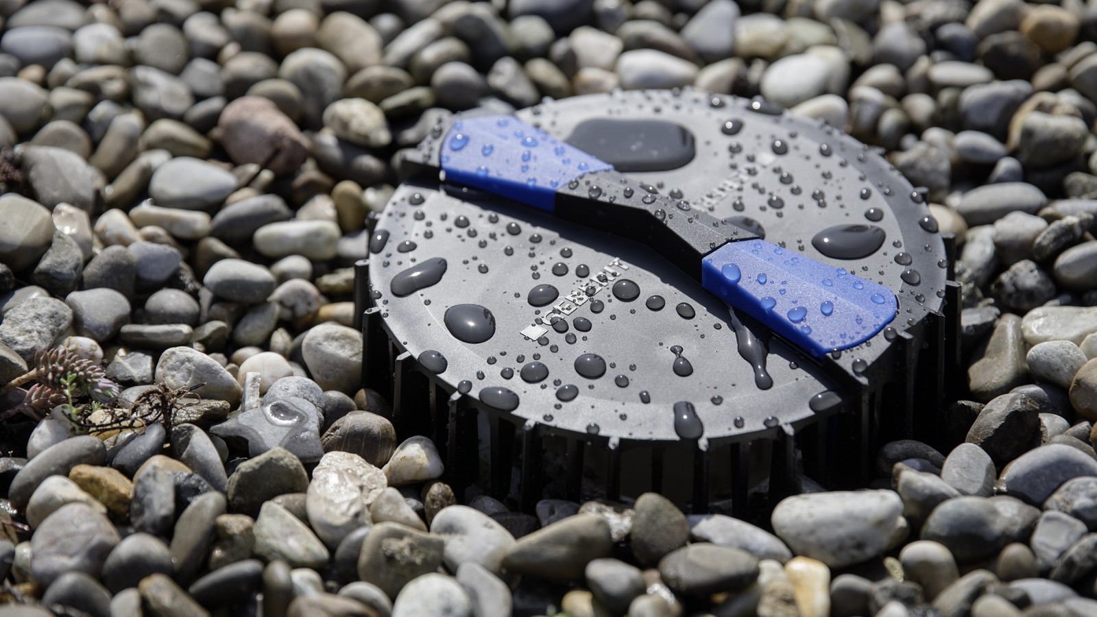 Pluvia grlo Pluvia grlo