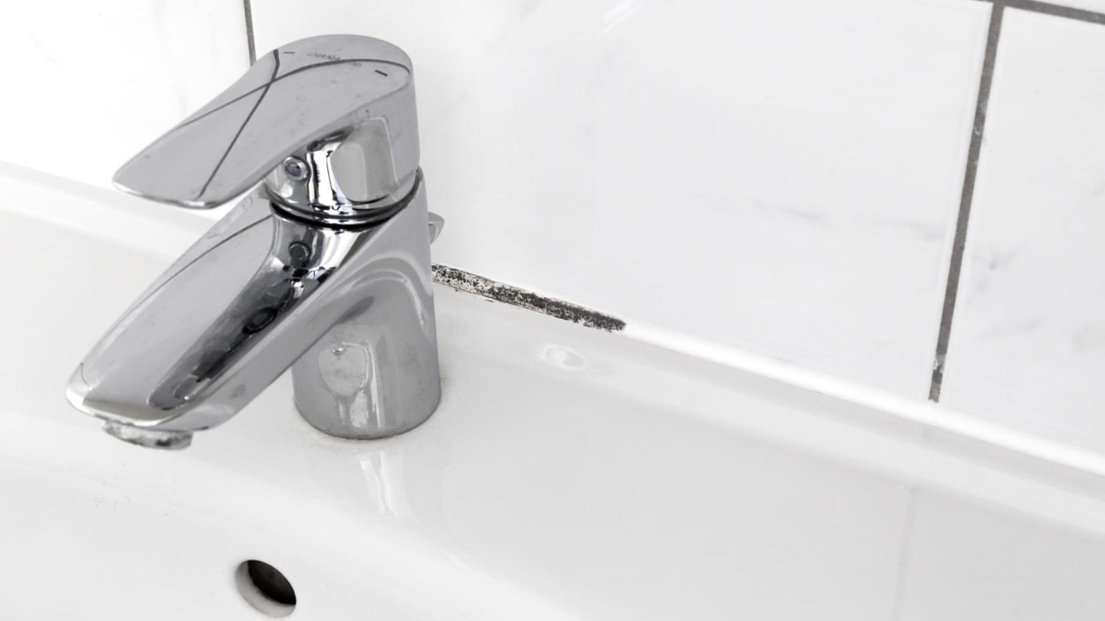 Plijesan na fugama Plijesan na fugama